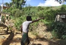 நுவரெலியாவில் மரத்தில் ஏறிய சிறுத்தை விரட்டியடிப்பு!