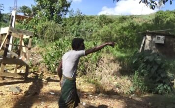 நுவரெலியாவில் மரத்தில் ஏறிய சிறுத்தை விரட்டியடிப்பு!