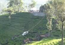 அதிகாலையில் நுவரெலியாவில் இடம்பெற்ற சோகம்!