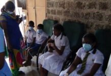 குளவி கொட்டுக்கு இலக்கான பாடசாலை மாணவர்கள் வைத்தியசாலையில்!