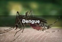 டெங்கு ஒழிப்பு நடவடிக்கைகளை மேம்படுத்த நடவடிக்கை!