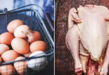 கோழி இறைச்சி, முட்டை விலைகளில் திடீர் மாற்றம்!