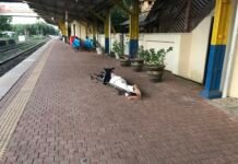 தண்டவாளத்தில் தலை வைத்து குடும்பஸ்தர் தற்கொலை!